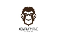 Ape design ltd