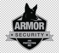 Armour security