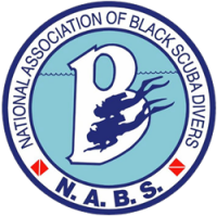 Atlanta diving assn
