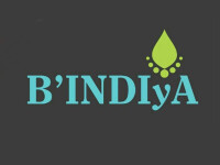 Bindiya beauty parlour - india