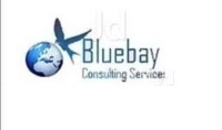 Bluebay consulting services