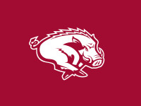 Razorback Engineering AB