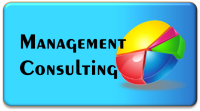 Bright earth consulting limited