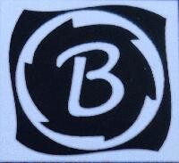 Bright polymers - india