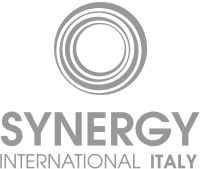 Busines synergy international