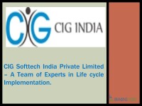 Cig softtech india pvt. ltd.