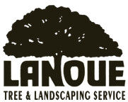 K&G Tree and Landscape Service