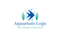 Aquariums