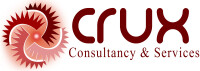 Crux consulting services