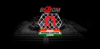 Boom mma-indian premier fighting league (ipfl)