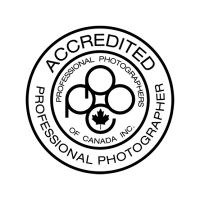 Daracle photography - professional photographer and services