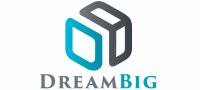 Dream big networks