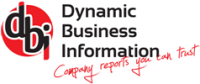 Dynamic business informatics