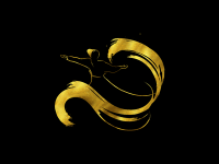 Design dervish