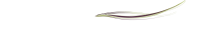 Designed for momentum