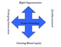 Donn strategy & solutions pvt. ltd.