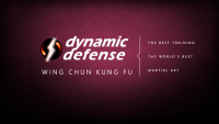Dynamic defense wing chun academy
