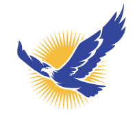 Eagle consulting service - india