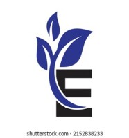 E-clinics international llc