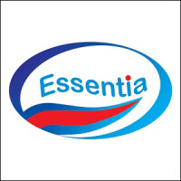 Essential myanmar
