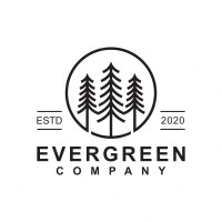 Evergreen bamboo