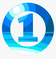 Fiji television ltd