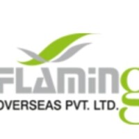 Flamingo overseas pvt. ltd.
