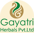 Gayatri herbals pvt.ltd.