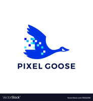 Goose technologies  pvt.ltd