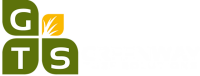 Gts web plus