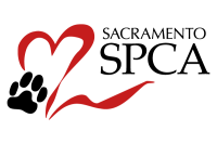 Sacramento SPCA/C4CC Feral Cat Clinic
