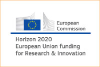 Horizon 2020 consultancy services