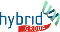Hybrid group