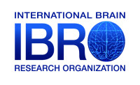 Ibro solutions