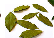 Kikabhai gulamhusen