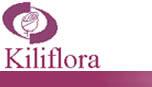 Kiliflora ltd