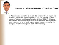 Lanka commodity brokers ltd
