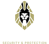 Leader security