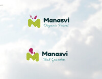 Manasvi international