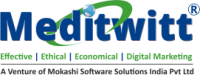 Meditwitt india private limited