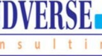 Mindverse consulting services limited