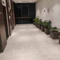 Mits global consulting pvt ltd