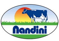 Nandhini