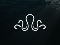 Octo spaces