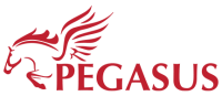 Pegasusforkids
