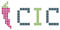 Creative Internet Consulting GmbH