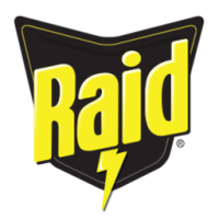 Raid