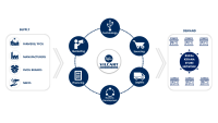 Rural bridges and technology solution pvt ltd