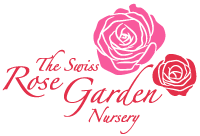 Rose garden nursery