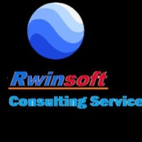 Rwinsoft consulting services